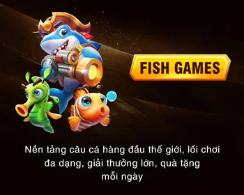 Hướng dẫn người mới bắt đầu